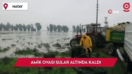 Hatay’da aşırı yağışlarla birlikte Amik Ovası sular altında kaldı