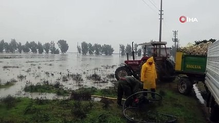 Sağanak yağış tarım arazilerini göle çevirdi