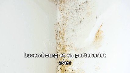 Entreprise de traitement de l'humidité à Saint-Amé - SOS Humidité