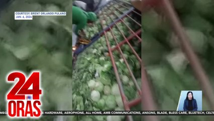 30% ng 'agricultural produce' ng bansa, nasasayang dahil sa 'di maayos na logistics — DA (January 16, 2024 report) | 24 Oras