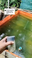 Berikut ini penjelasan tentang DRAINASE KOLAM saat hujan deras