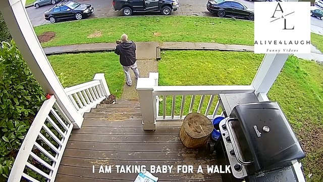 Funniest CCTV Fails of 2024 Try Not to Laugh!