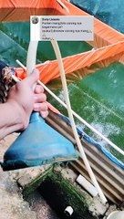 Review alat sederhana yang saya gunakan untuk memanen larva lele kemarin