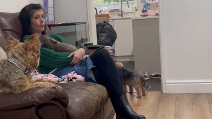 Girl is super delighted to revel in the joy brought back into her life by new puppy