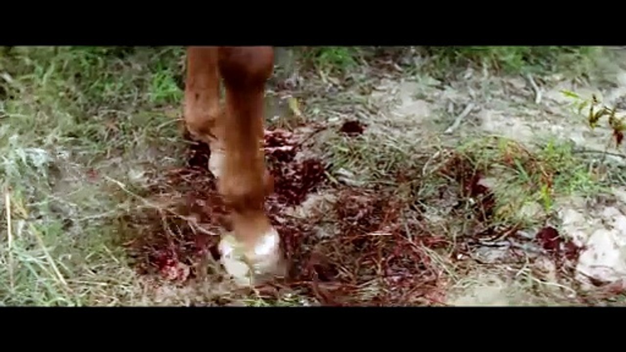 Deutscher Trailer zu „Das Duell“ mit Woody Harrelson und Liam Hemsworth