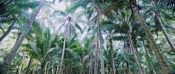 Snake Cave (2023) Hindi