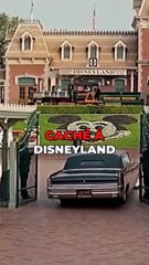 walt disney disneyland