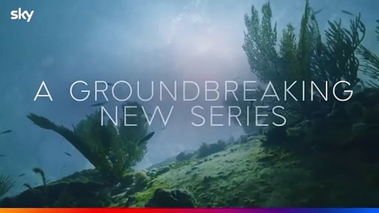 Wale mit Steve Backshall Trailer OV