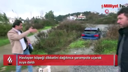 Önce kimse nasıl olduğunu anlamadı! Havlaması yetti, araç suya gömüldü