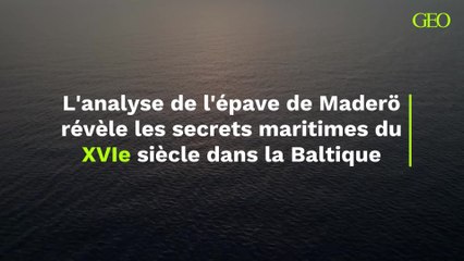 Dans la Baltique, l'analyse de l'épave de Maderö révèle les secrets maritimes du XVIe siècle