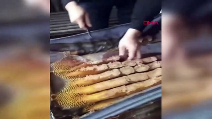 Kaçtığını sandığı arılar, kullanılmayan bavula bal yapmış