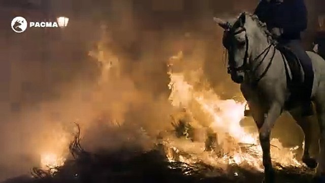 PACMA denuncia el maltrato animal en las Luminarias de San Bartolomé de Pinares