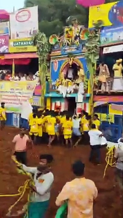 palamedu jallikattu : 721 बैल और 485 बुल-टैमर्स ने दर्शकों को किया रोमांचित