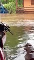 Les habitants de l'Etang ont filmé l'inondation subie lors du cyclone Belal
