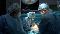 España roza los 6.000 trasplantes en 2023, superando sus mejores cifras de actividad