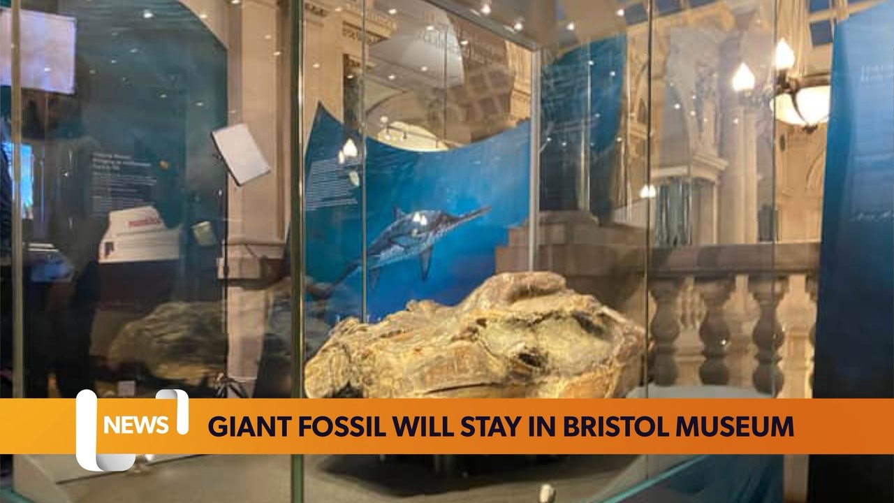 Bristol January 17 Headlines: A sea dragon fossil will permanently live at Bristol Museum