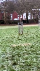 Child injured during dramatic police chase involving helicopter through Bristol