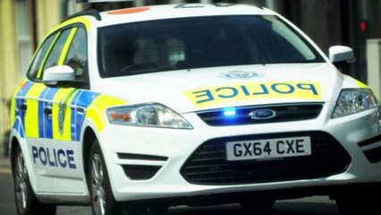 Latest TV: Brighton vs Wolves preview and transfer latest