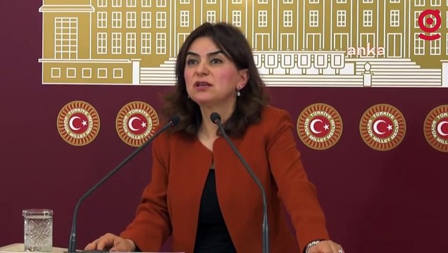 DEM Parti Grup Başkanvekili Gülüstan Kılıç Koçyiğit: 2024 yılı emekliler yılı değil emeklilerin açlık ve sefalet yılı olabilir