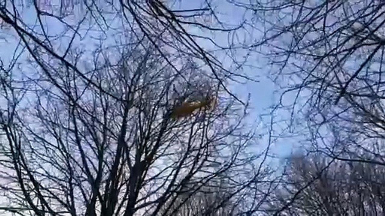 Watch as air ambulance lands in Worthing park amid emergency incident