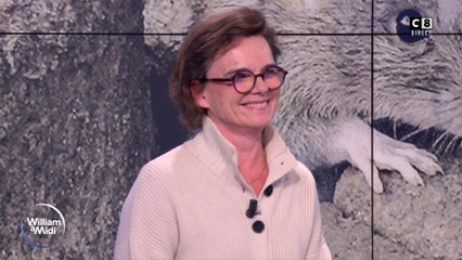 Bon à savoir : les rats ont-ils envahi nos villes ?