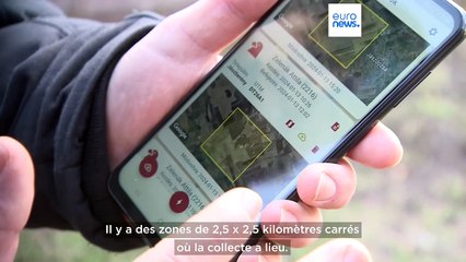 Recensement annuel des rapaces en Hongrie