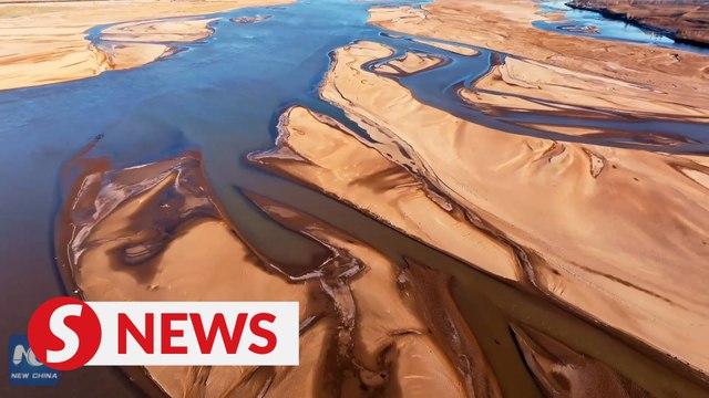 The picturesque Yellow River wetlands in winter