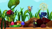 Finger Family (Insects Version) _ CoComelon Nursery Rhymes _ Kids Songs