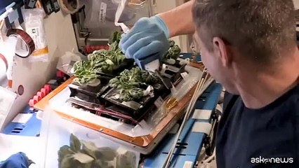 Spazio, l'Italia torna in orbita con l'Aeronautica Militare e Axiom Space