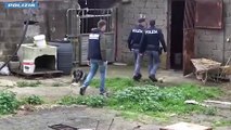 Blitz a Niscemi, scoperti 12 cani in ipotermia e malnutriti per allenarli alla caccia