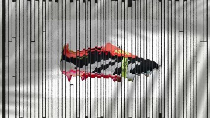 30 years of the Adidas Predator