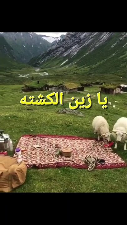يا زين الكشته
