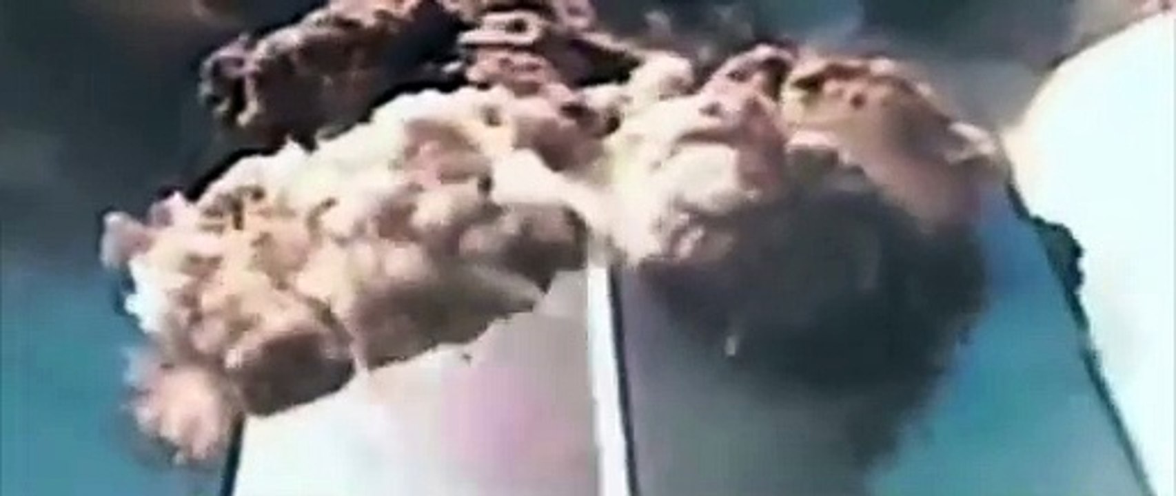 Jewish Rabbi Admits to prior knowledge of 9/11