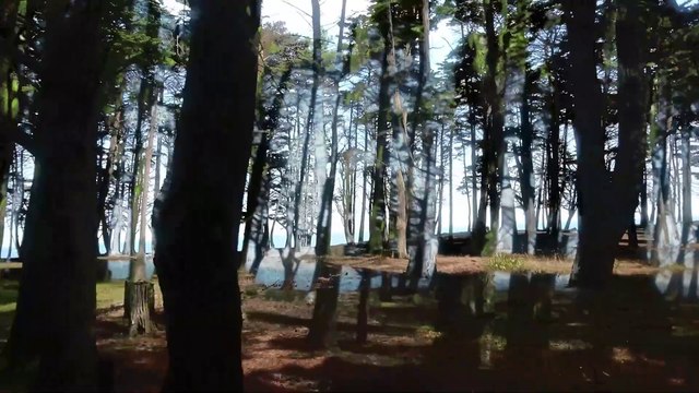 A ma zone verte Mélanie Vallet