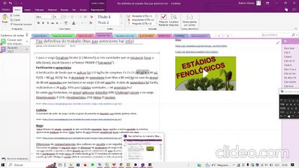 DSSAT.Tratamientos para obtener una buena cosecha (12 Tn/Ha) de sorgo.