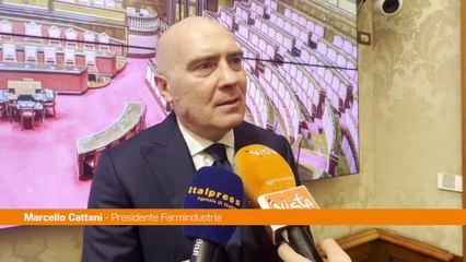 Cattani "Tanta strada da fare per raggiungere l’equità di genere"