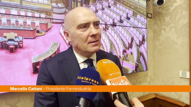 Cattani Tanta strada da fare per raggiungere l’equità di genere