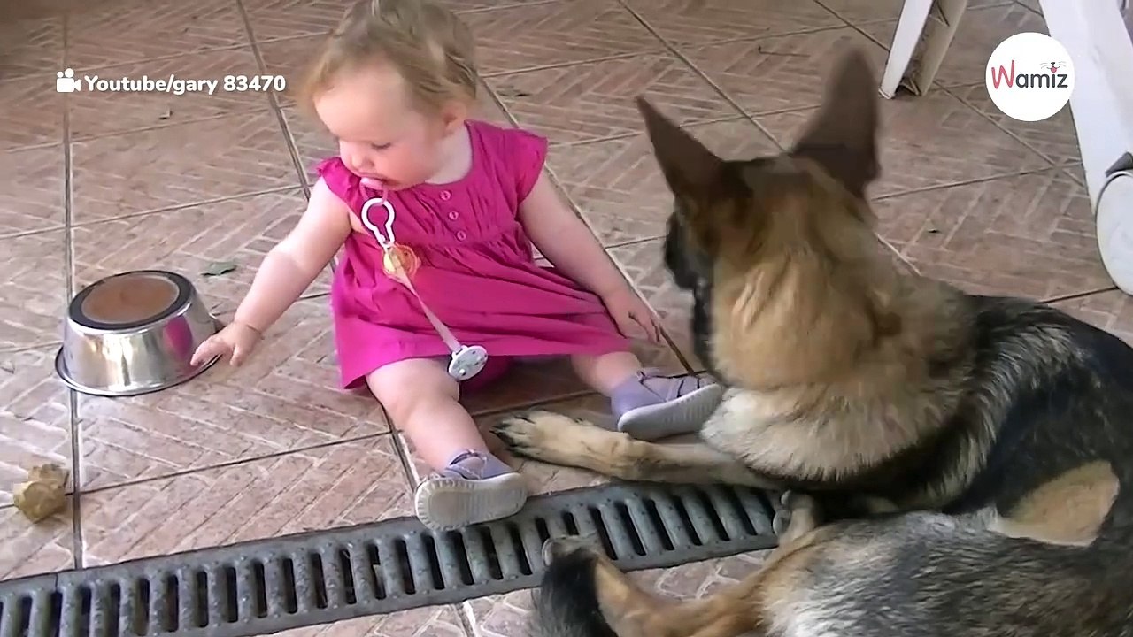 Mädchen spielt neben Schäferhund: Plötzlich packt es einen Stein und...