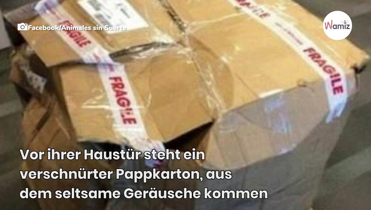 Jemand stellt anonym einen Karton vor der Haustür ab: Frau fehlen die Worte