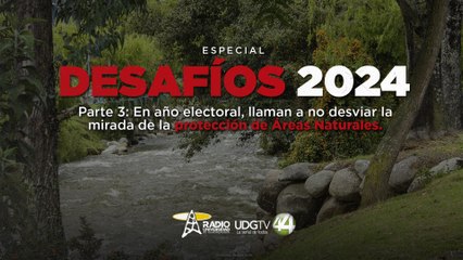 Desafíos 2024 III: En año electoral, llaman a no desviar mirada de la protección de Áreas Naturales