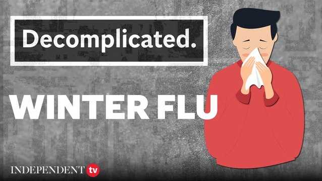 What causes the winter flu and how does it differ from other types of flu and colds? | Decomplicated