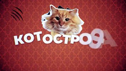 Котострофа — 6 серия: Семья Мягковых сталкивается с новым началом 🏡