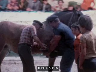 Roué Francis-Maréchal ferrant extérieur 02