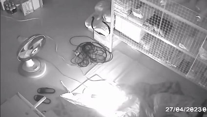 Fan plug BURSTS into flames while family sleeps