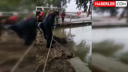 Sulama kanalında erkek cesedi bulundu