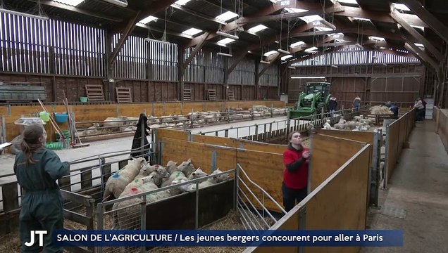SALON DE L'AGRICULTURE / Les jeunes bergers concourent pour aller à Paris
