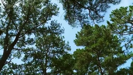 America ReFramed - S12E01 - The Cost of Inheritance