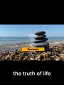 Truth of life#viral #quotes #lifequotes #viral_video #viralshort #lifequotes #lifelessons
