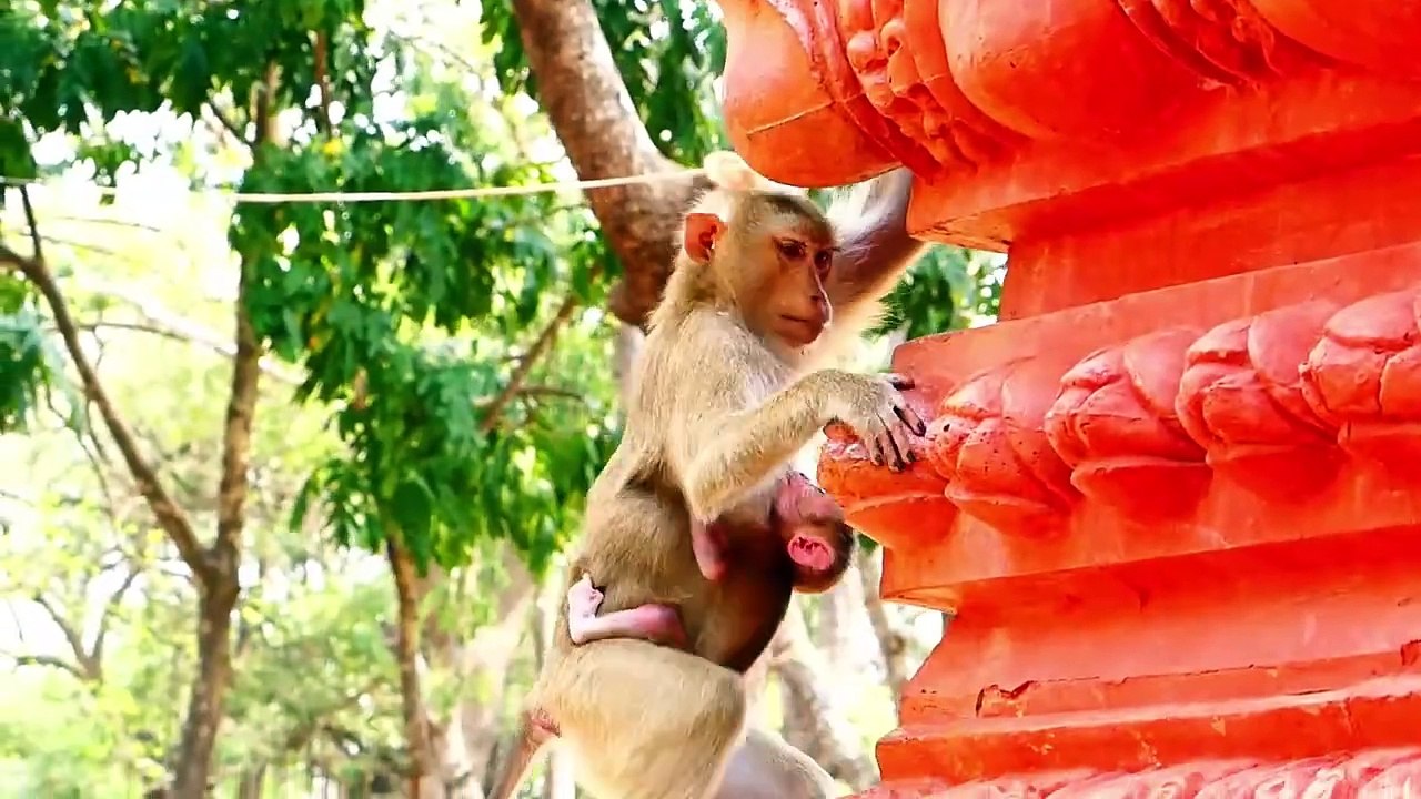 Poor Baby Is Nicely Coached By Adorable Mother Sarika (720p_25fps_H264-192kbit_AAC)