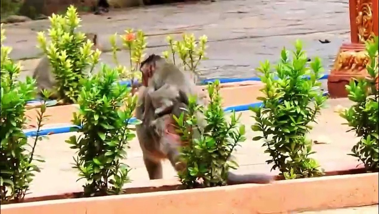 Poor baby is warned by his mother, mother left baby, and she went out, baby crying on the way (720p_25fps_H264-192kbit_AAC)